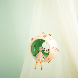 capsulette oiseau bateau